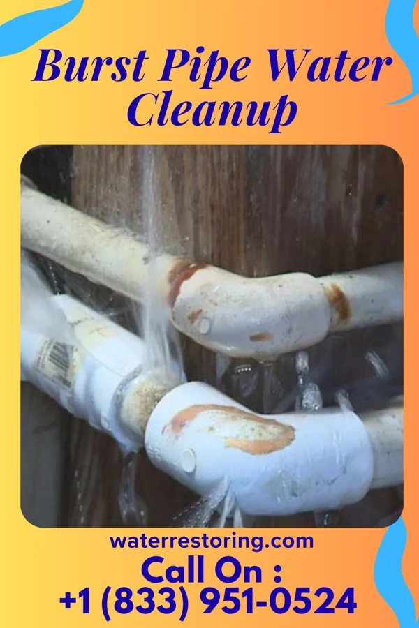 Burst Pipe Water Cleanup in Huxley, IA